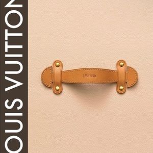 Louis Vuitton Book Louis Vuitton: The Birth of Modern Luxury Updated Edition